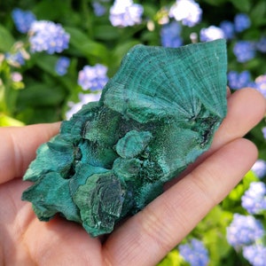 Velvet Malachite | Raw Malachite | Malachite Specimen