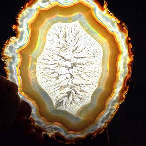 Iridescent Iris Agate Slice: Rainbow Colors