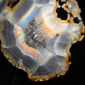 May include: A close-up of a polished agate slice, showcasing natural patterns. The stone has layers of translucent white, grey, and brown, with a central tree-like pattern and a rainbow effect. The edges are a warm brown colour.
