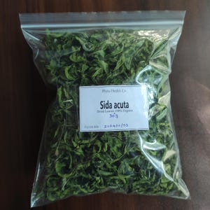 Sida acuta dried leaves freshly dried