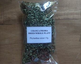 Chanca Piedra, Phylanthus niruri Plante entière fraîchement séchée 30 g