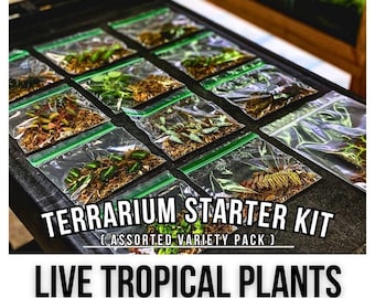 Live Tropical Plant Cuttings (8 Pack) / Assorted Variety Pack / RARE to COMMON PLANTS / Terrarium Plant Starter Pack / Bio-Active Plants