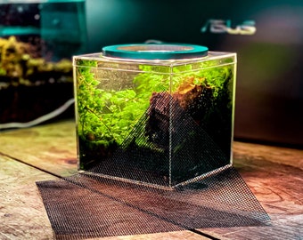 Terrarium Mesh Drainage Barrier - (Replacement for The Tiny Terrarium Kit)