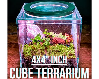 Cube Terrarium Kit (4x4" INCH) / DIY Mini Closed BioActive Enclosure with Live Plants