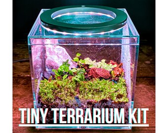 Vivarium kit clearance