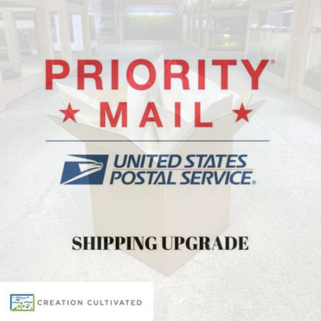 USPS Priority Shipping Upgrade Creation Cultivated Etsy