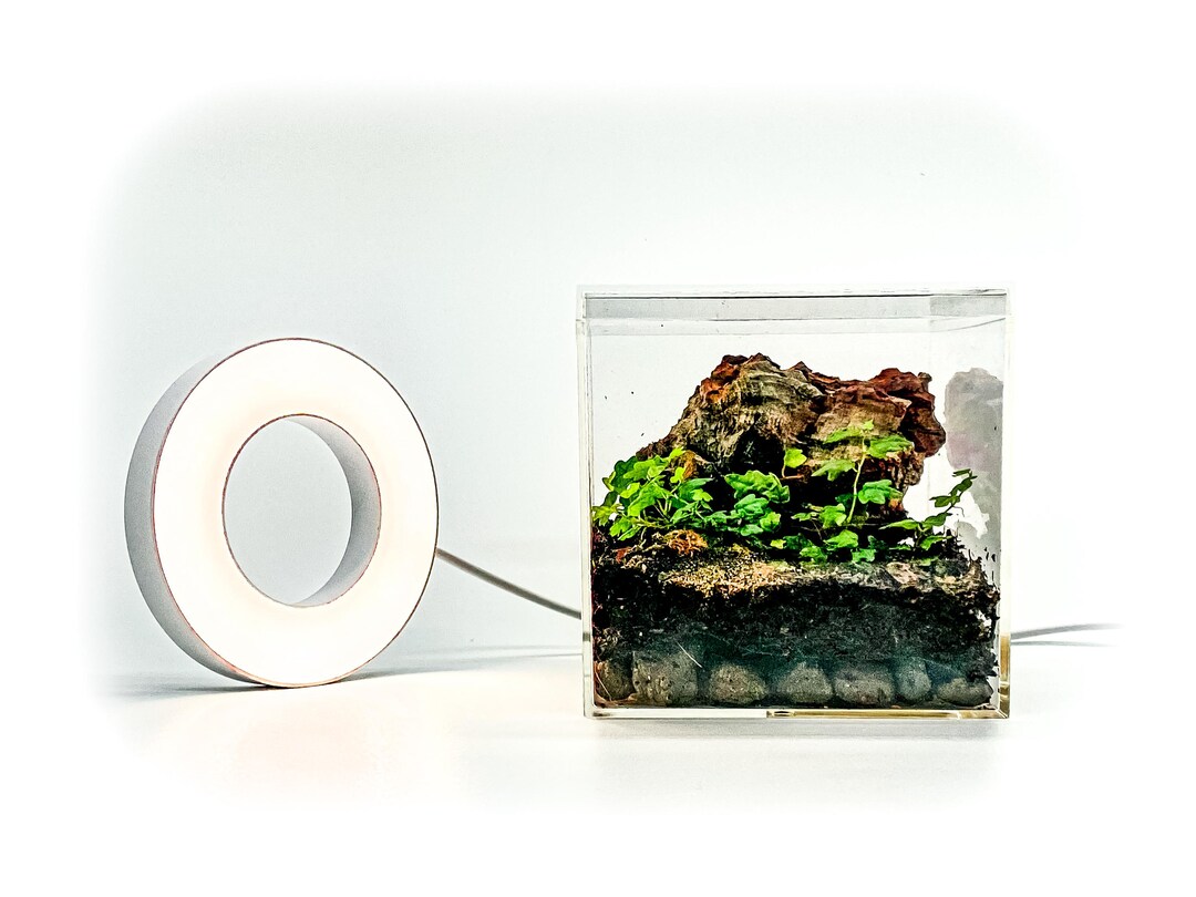 Halo Ring LED Terrarium Grow Light / Full Spectrum Adjustable ...