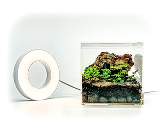 Halo Ring LED Terrarium Grow Light / Full Spectrum Adjustable Brightness, Color, & Timer