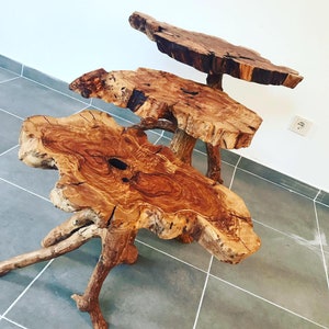 zeytin agaci tabla mandalina agaci ayak 3lu zigon sehpa