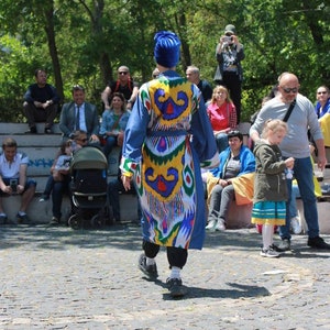 Handgemachter Usbekischer Seidenkimono: Boho Ikat Kaftan, Plus Size Robe