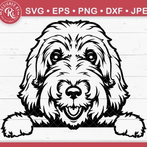 Labradoodle Svg, Pudel Svg, Hund Gesicht Svg, Labradoodle Geschenke, Bernedoodle Svg, Hundeshirt Svg, Hund Svg, Hund Mama Svg, Hunderasse Svg, Cut File