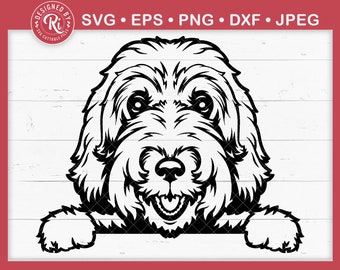 Labradoodle Svg, Poodle Svg, Dog Face Svg, Labradoodle Gifts, Bernedoodle Svg, Dog Shirt Svg, Dog Svg, Dog Mama Svg, Dog Breed Svg, Cut File