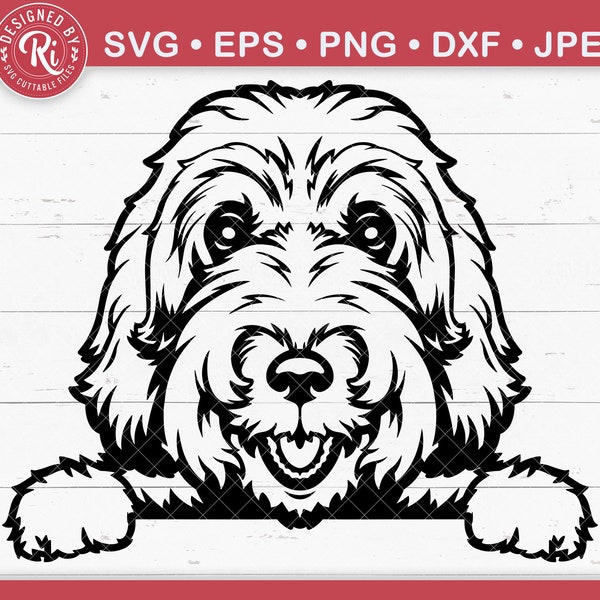 Labradoodle Svg, Poodle Svg, Dog Face Svg, Labradoodle Gifts, Bernedoodle Svg, Dog Shirt Svg, Dog Svg, Dog Mama Svg, Dog Breed Svg, Cut File