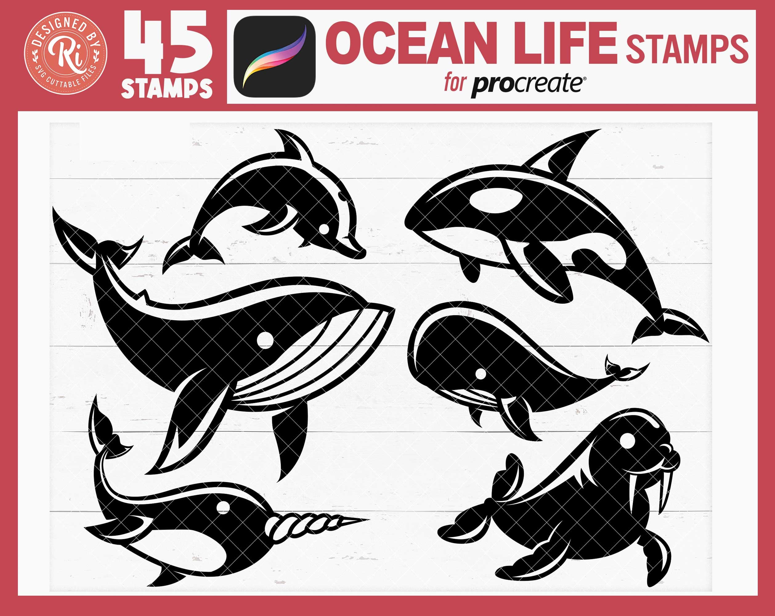 Procreate Ocean Animals Stamps, Procreate Sea Creatures Stamps ...