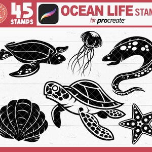 Procreate Ocean Animals Stamps, Procreate Sea Creatures Stamps ...