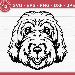Labradoodle svg, perro papá svg, labradoodle regalos, bernedoodle svg, camisa para perros svg, labrador svg, perro svg, peeking dog svg, golden doodle svg