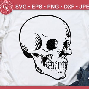 Skull Svg, Skull Vector, Skull Quarter View, Skull Clipart, Skull Head Svg, Pirate Skull Svg, Skeleton Svg, Skull Cut File Svg, Skull Cricut