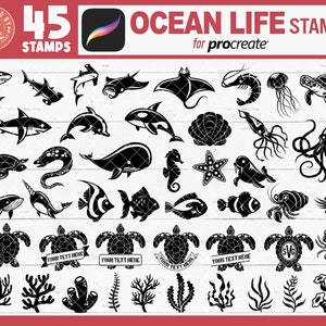 Procreate Ocean Animals Stamps, Procreate Sea Creatures Stamps, Procreate Marine Life Stamps, Procreate Fish Stamps, Procreate Shark Stamps