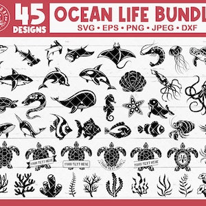 Zeedieren Svg Bundel, Sea Life Svg, Oceaan dieren Svg Bundel, Zeeleven, Vissen, Onderwater, Haaien, Schildpadden, Koralen, Octopus, Zeester