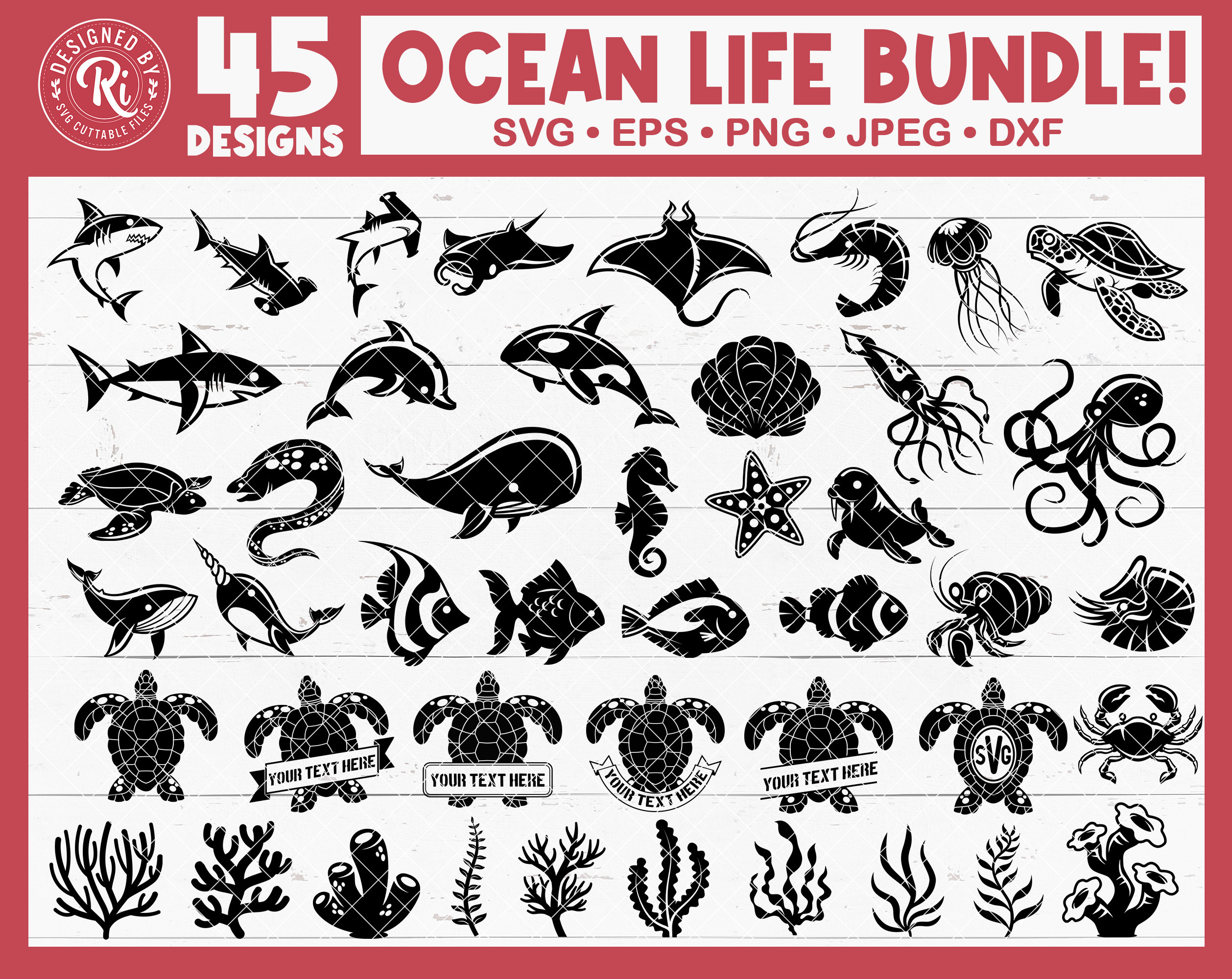 Sea Animals Svg Bundle, Sea Life Svg, Ocean Animals Svg Bundle, Marine Life, Fishes, Underwater, Sharks, Turtles, Corals, Octopus, Starfish
