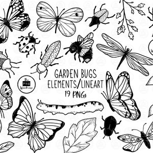 GARDEN BUGS Lineart Elements - 19 projektów clipartów png - natychmiastowe pobranie 300 dpi line art niewypełnione ręcznie rysowane elementy bazgroły czarny