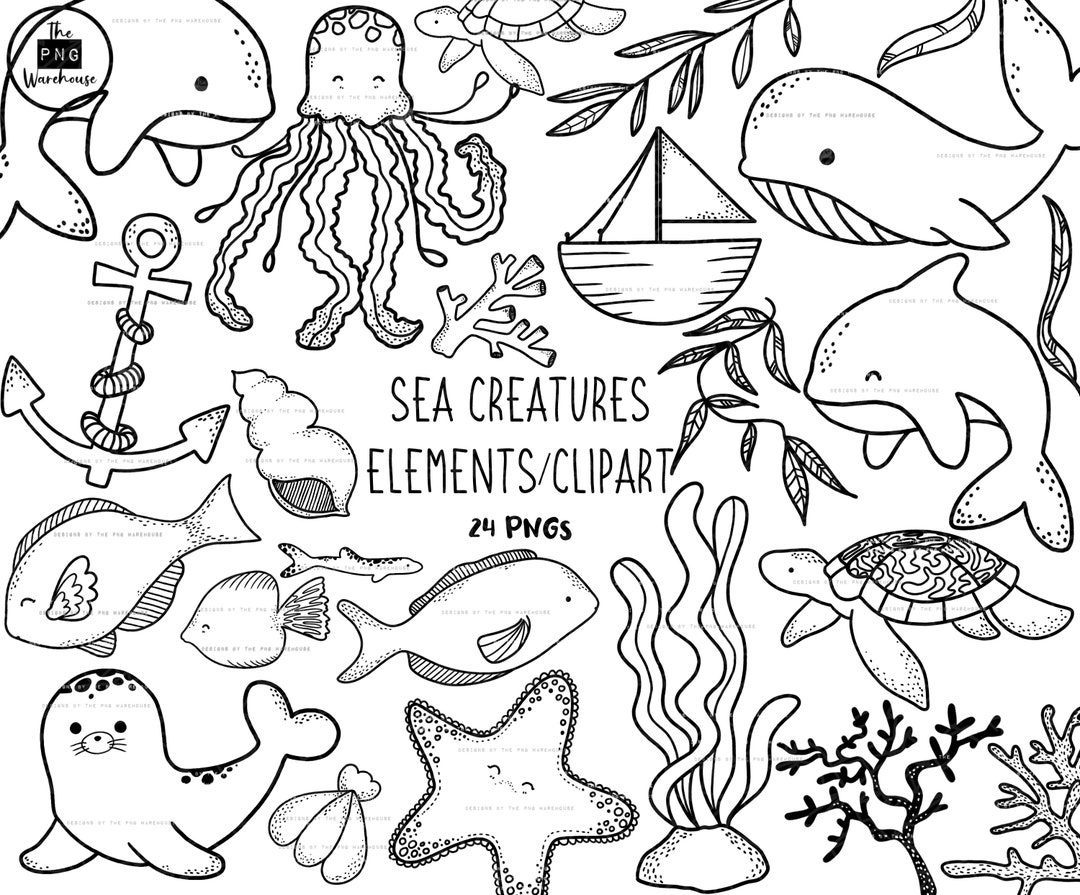 SEA CREATURES Lineart Elements - 24 Png Clip Art Designs - Instant ...