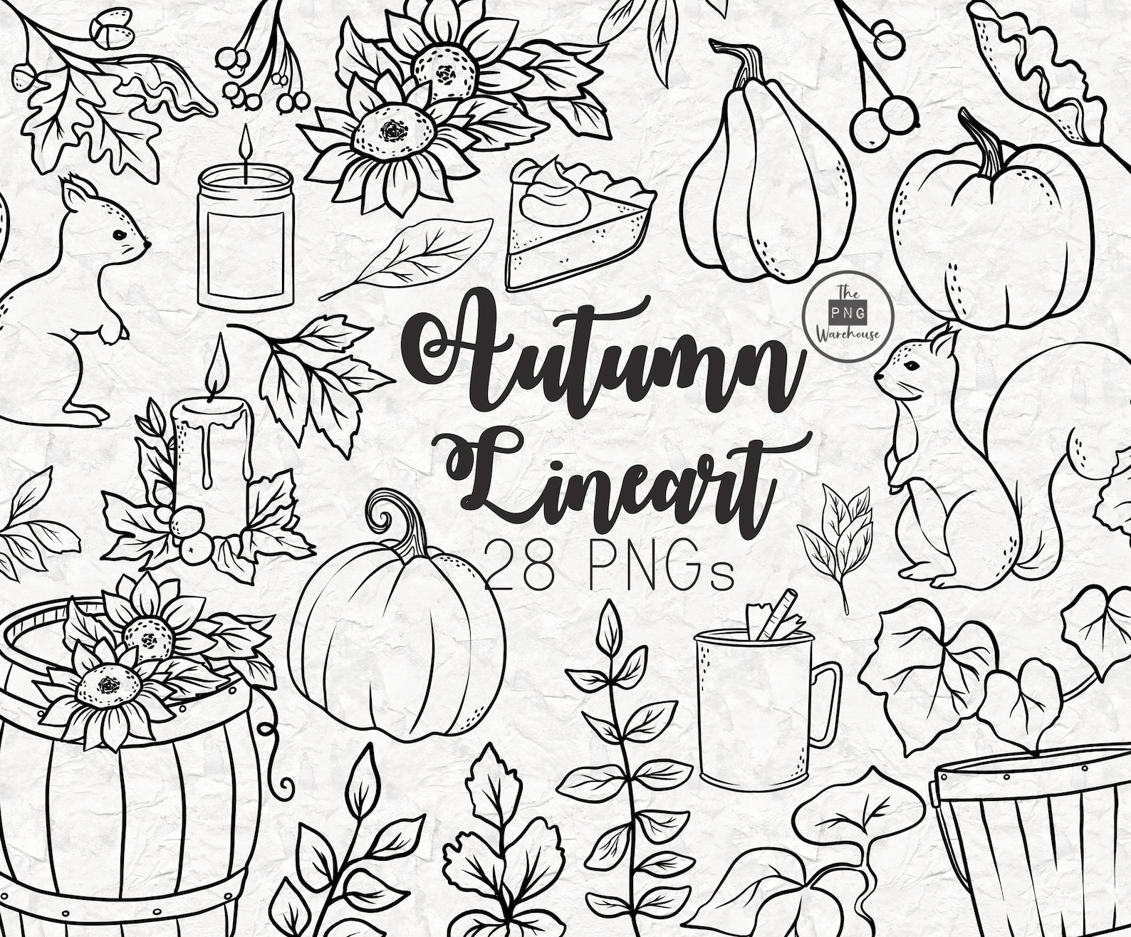 AUTUMN Lineart Elements - 28 Png Clip Art Designs - Instant Download ...