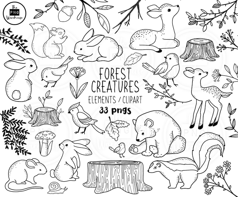 FOREST CREATURES Lineart Elements 33 png clip art designs instant download 300 dpi line art non filled hand drawn elements doodles black image 1