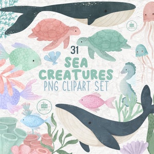 SEA CREATURES Clip Art Set - 31 pngs - descarga instantánea - 300dpi - diseños de imágenes prediseñadas - ballenas medusas plantas tortugas conchas océano azul marino