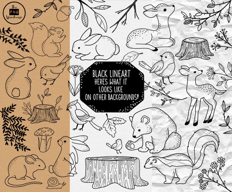 FOREST CREATURES Lineart Elements 33 png clip art designs instant download 300 dpi line art non filled hand drawn elements doodles black image 2