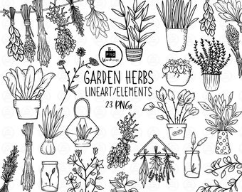 GARDEN HERBS Lineart Elements - 23 png clip art designs - instant download 300 dpi line art non filled hand drawn elements doodles black