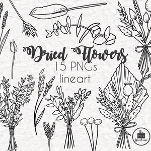 FLEURS SÉCHÉES Lineart Elements - 15 png clip art designs - téléchargement instantané 300 dpi dessin au trait non rempli éléments dessinés à la main gribouillis noir