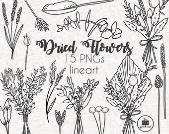 DRIED FLOWERS Lineart Elements - 15 png clip art designs - instant download 300 dpi line art non filled hand drawn elements doodles black