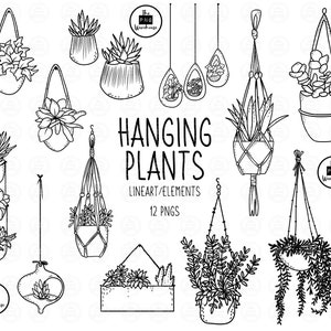 HANGENDE PLANTEN Lineart Elements - 12 png clip art designs - instant download 300 dpi lijntekeningen niet gevulde handgetekende elementen doodles zwart