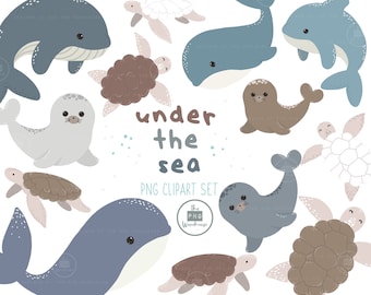 Under The Sea CLIPART - 13 pngs - instant download - 300dpi - clip art designs - turtles whales dolphins seals sealion ocean sea cartoons