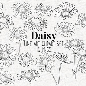 DAISY Lineart Elements - 16 PNG clip art designs - instant download 300 dpi line art niet gevulde handgetekende elementen doodles zwarte madeliefjes