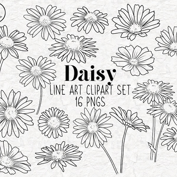 DAISY Lineart Elements - 16 PNG clip art designs - instant download 300 dpi line art non filled hand drawn elements doodles black daisies