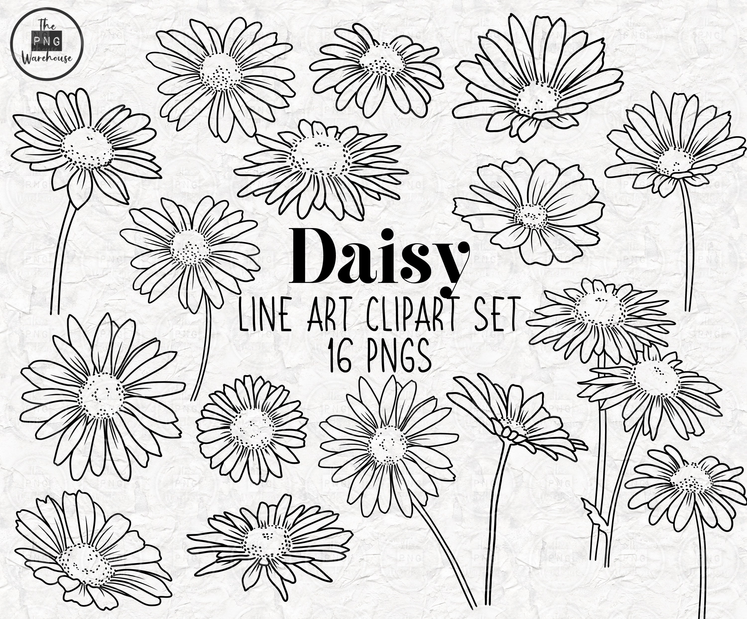 DAISY Lineart Elements 16 PNG Clip Art Designs Instant Download 300 Dpi  Line Art Non Filled Hand Drawn Elements Doodles Black Daisies 