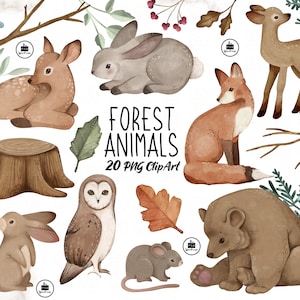 FOREST ANIMALS CLIPART - 20 pngs - téléchargement instantané - 300dpi - clip art designs - aquarelle style peinture fox bear owl deer baby mouse
