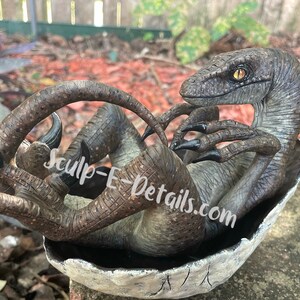 MADE to ORDER Hand Sculpted OOAK Raptor Hatchling - Etsy