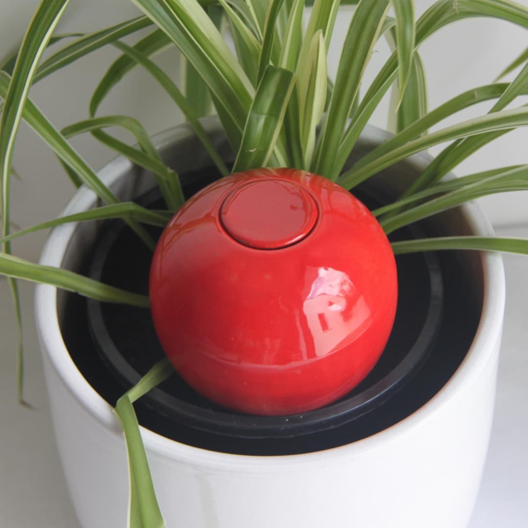 Ollas Lutton Sistema di irrigazione per Piante/Fiori/Alberi, Ecologico, irrigatore autonomo - Terracotta 4L