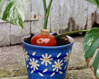 Ollas Galet: Riego Práctico y Sostenible para Tus Plantas