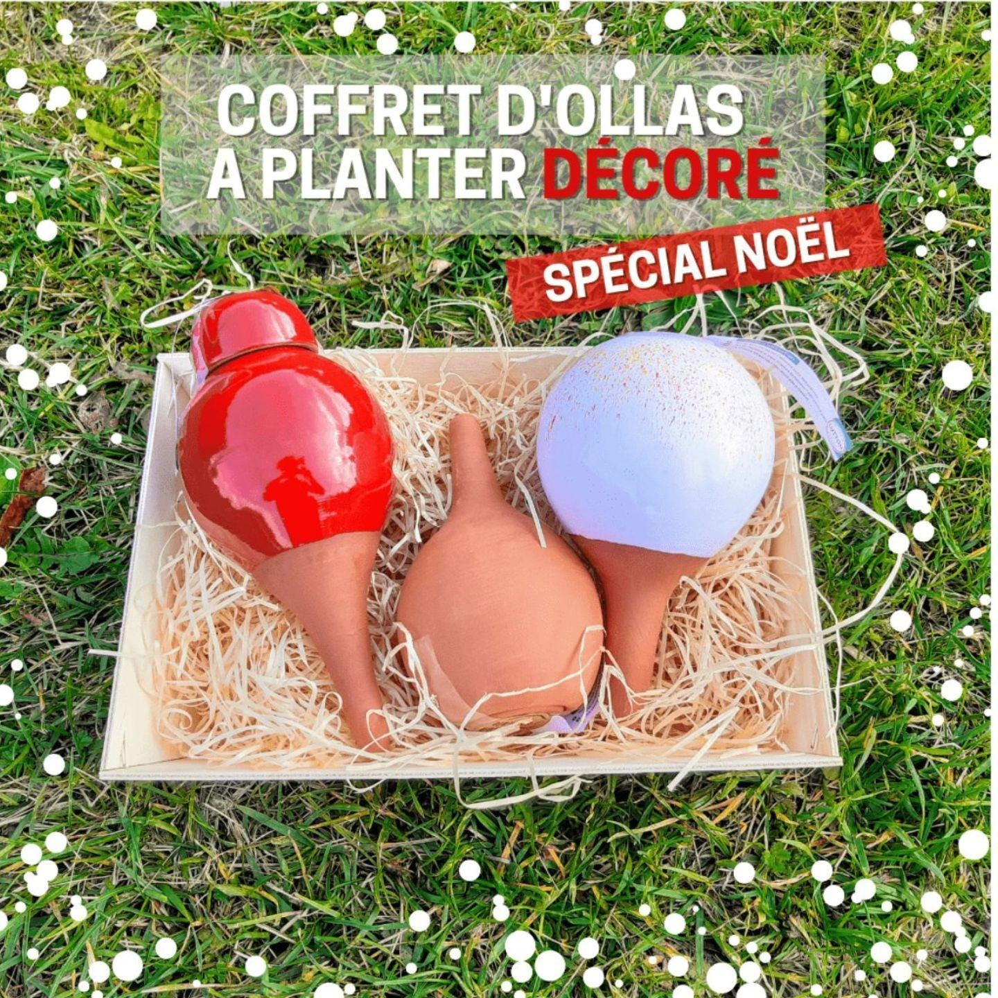 Gift Set of CeramicOllas – Perfect for You or YourLovedOnes
