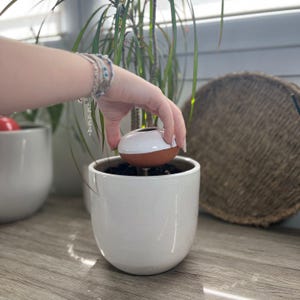 Ollas Galet: Practical and Sustainable Irrigation for Your Plants