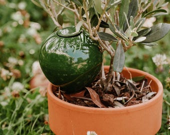 Entdecken Sie die Mini-Ollas von Lutton