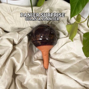 Op de afbeelding: Een keramische olla-waterer met een donkerbruine, gespikkelde bol en een terracotta-kleurige basis en punt. De tekst "PANIER SURPRISE OLLAS À PLANTER" staat bovenaan. De waterer is ontworpen voor plantenverzorging.