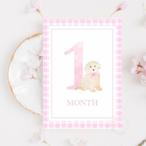 Cartes d'étape importante chiot fille, étape mensuelle de petite fille, lot de 16 cartes, vichy rose, cadeaux de baby shower, souvenirs de bébé, téléchargement immédiat