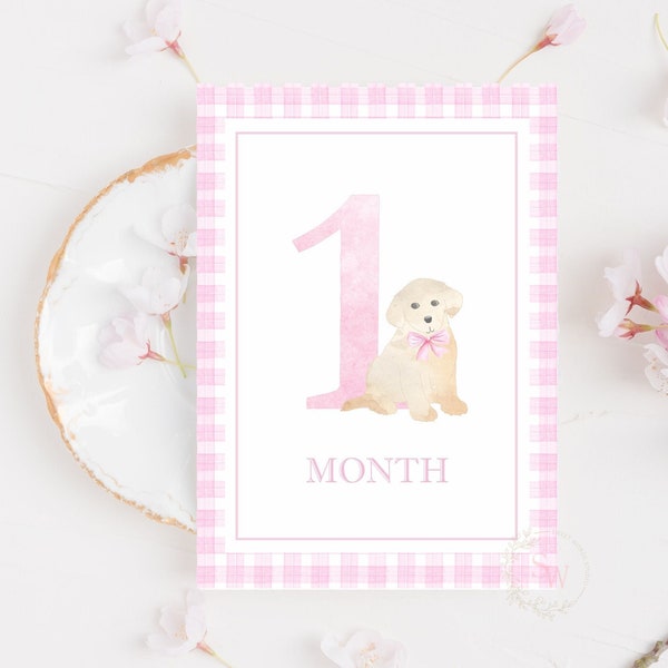 Girl Puppy Milestone Cards, Baby Girl Monthly Milestone, Set of 16 Cards, Pink Gingham, Baby Shower Gifts, Baby Memories, Instant Download