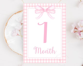 Pink Gingham Milestone Cards, Girl Monthly Milestone, Set of 16 Cards 5x7", Baby Shower Gift, Baby Memories, Welcome Baby, Printable, PN