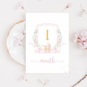 PRINTABLE Baby Girl Month Stickers, Milestone Month Stickers, Month Stickers  Girl, Floral DIY Printable 